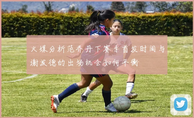 火媒分析范乔丹下赛季首发时间与谢泼德的出场机会如何平衡