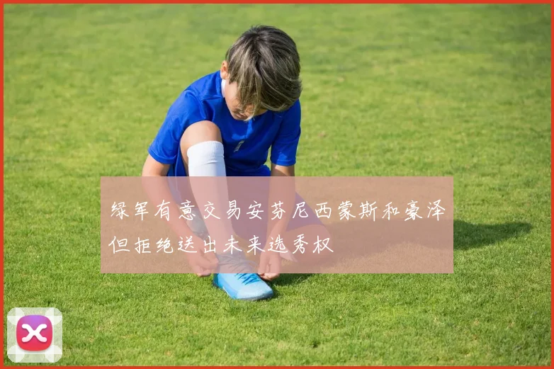 绿军有意交易安芬尼西蒙斯和豪泽但拒绝送出未来选秀权